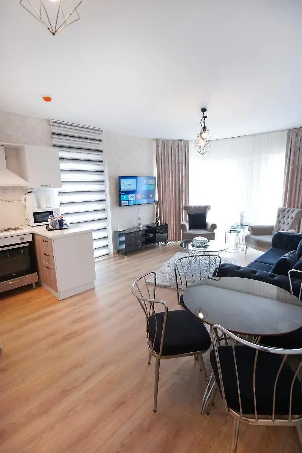King Suite Ae8 Istanbul Apartment